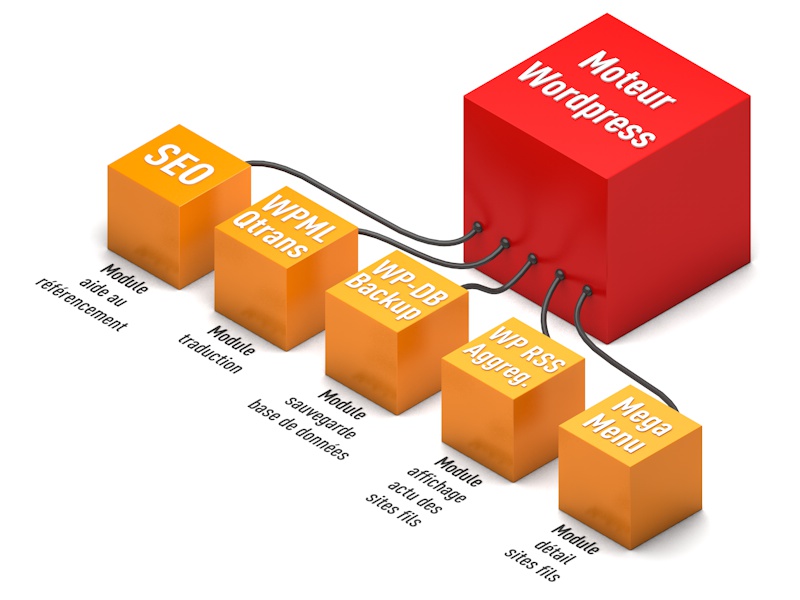 schema portail wordpress